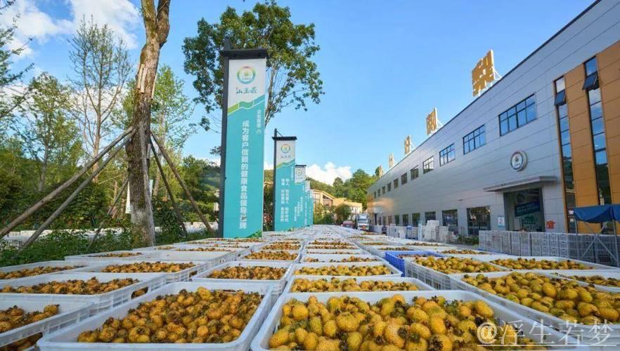 从刺梨故事看科技创新引领高质量发展 从刺梨故事看科技创新引领高质量发展
